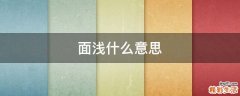 面浅什么意思