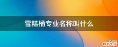 雪糕桶专业名称叫什么