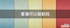 香蒲可以驱蚊吗