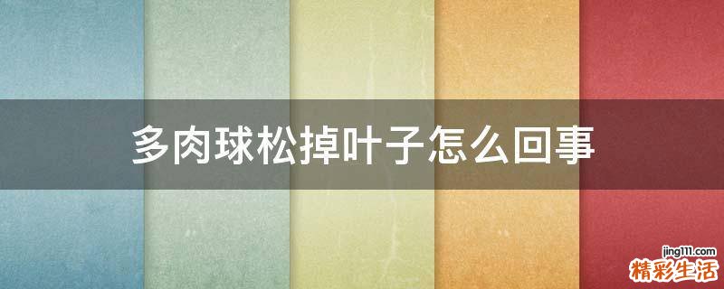 多肉球松掉叶子怎么回事