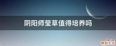 阴阳师莹草值得培养吗