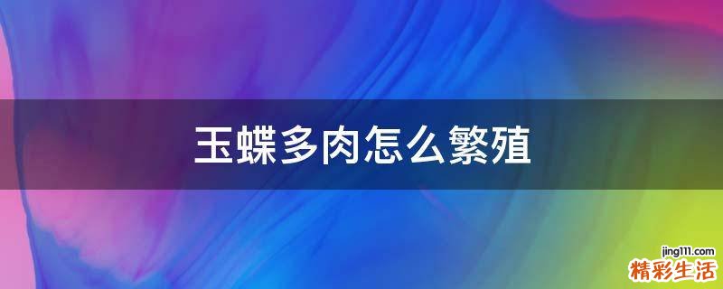 玉蝶多肉怎么繁殖