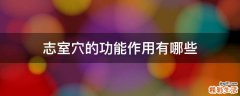 志室穴的功能作用有哪些