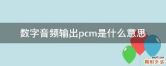 数字音频输出pcm是什么意思