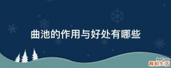 曲池的作用与好处有哪些