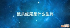 鼠头蛇尾是什么生肖