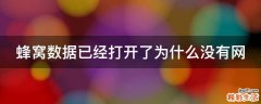 蜂窝数据已经打开了为什么没有网