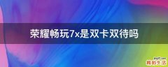荣耀畅玩7x是双卡双待吗