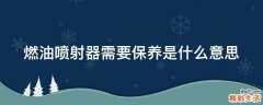燃油喷射器需要保养是什么意思