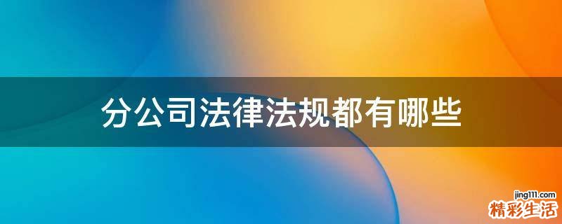 分公司法律法规都有哪些