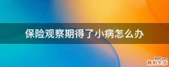 保险观察期得了小病怎么办