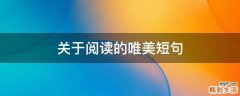 关于阅读的唯美短句