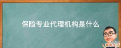 保险专业代理机构是什么