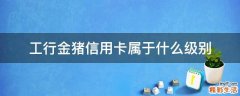 工行金猪信用卡属于什么级别