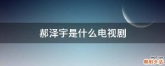郝泽宇是什么电视剧