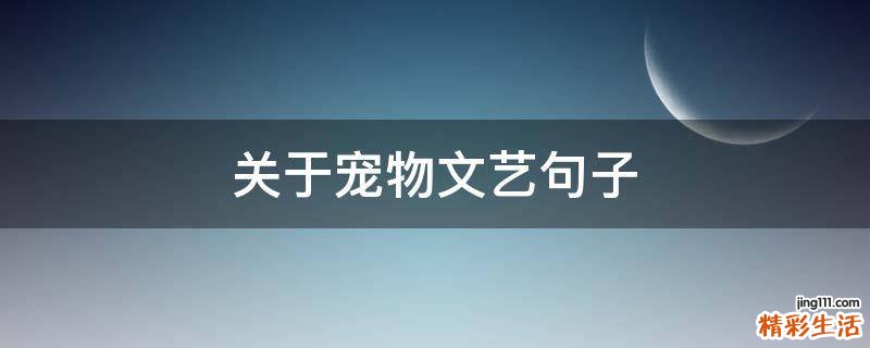 关于宠物文艺句子
