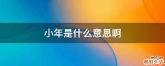小年是什么意思啊