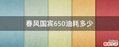 春风国宾650油耗多少