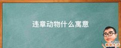 违章动物什么寓意