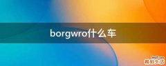 borgwro什么车