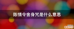 陈情令舍身咒是什么意思