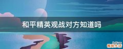和平精英观战对方知道吗