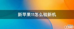 新苹果11怎么验新机