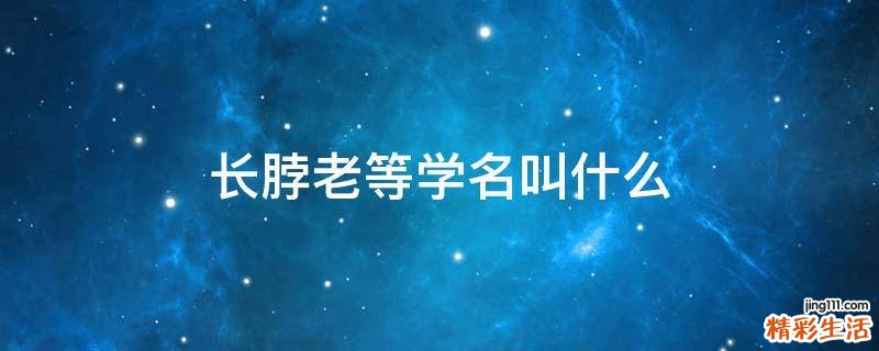 長脖老等學名叫什么