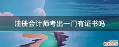 注册会计师考出一门有证书吗