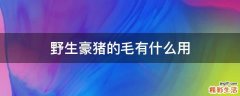 野生豪猪的毛有什么用