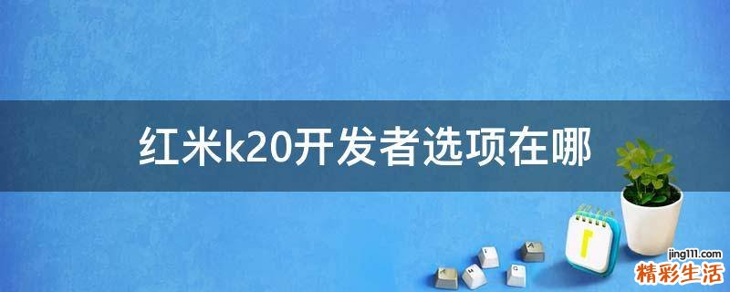 红米k20开发者选项在哪