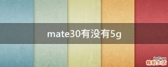 mate30有没有5g