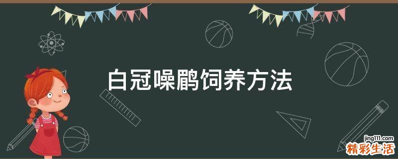 白冠噪鹛饲养方法