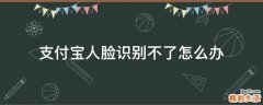 支付宝人脸识别不了怎么办