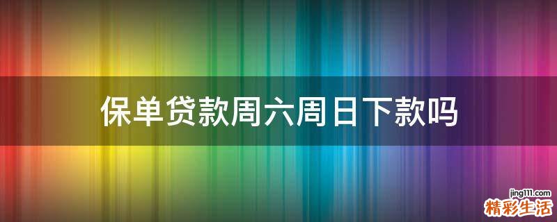 保单贷款周六周日下款吗