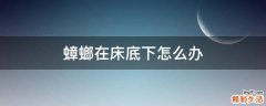 蟑螂在床底下怎么办
