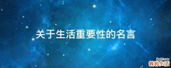 关于生活重要性的名言
