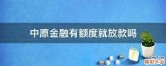 中原金融有额度就放款吗