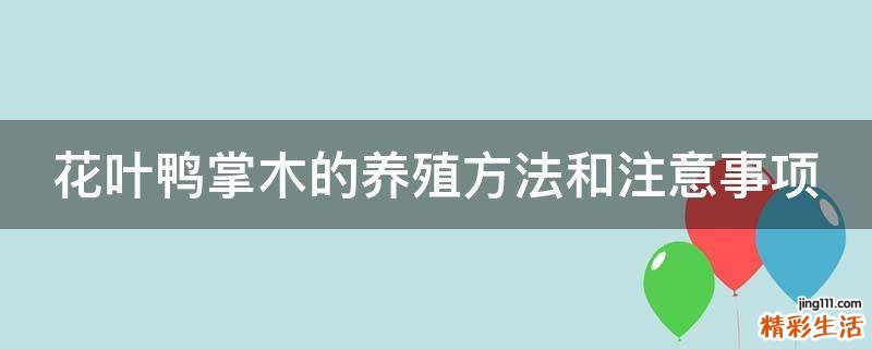 花叶鸭掌木的养殖方法和注意事项