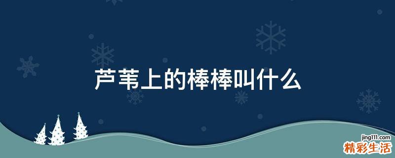 芦苇上的棒棒叫什么