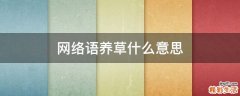 网络语养草什么意思