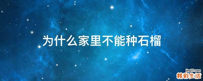 为什么家里不能种石榴