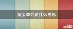 淘宝88会员什么意思