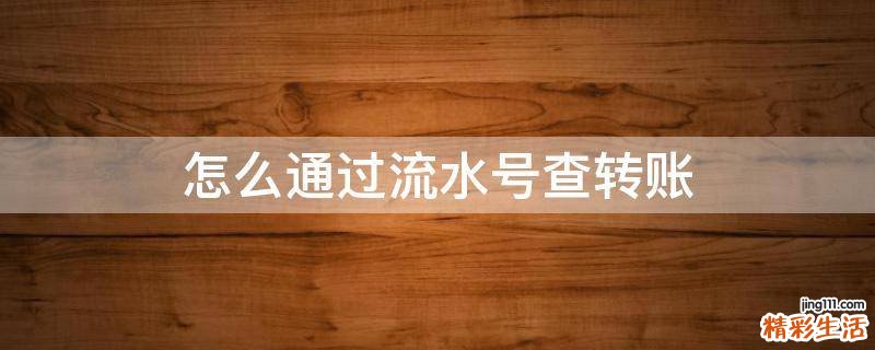 怎么通过流水号查转账