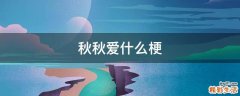 秋秋爱什么梗