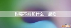 树莓不能和什么一起吃
