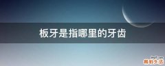 板牙是指哪里的牙齿
