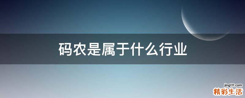 码农是属于什么行业