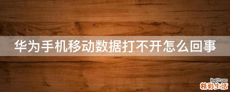 华为手机移动数据打不开怎么回事
