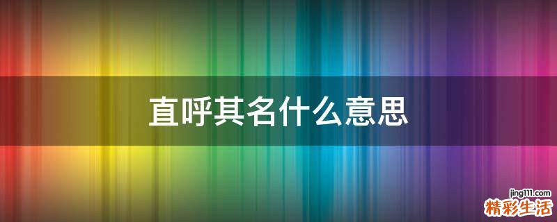 直呼其名什么意思